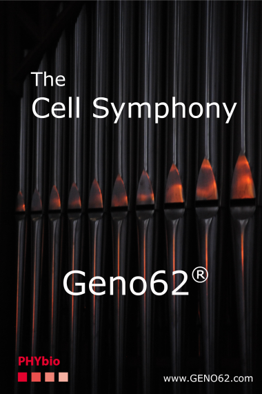 Cell symphonie small